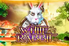 White Rabbit